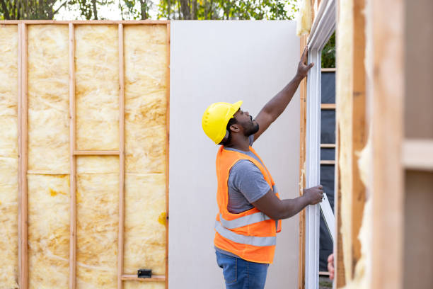 Best Best Insulation Companies  in Pikesville, MD